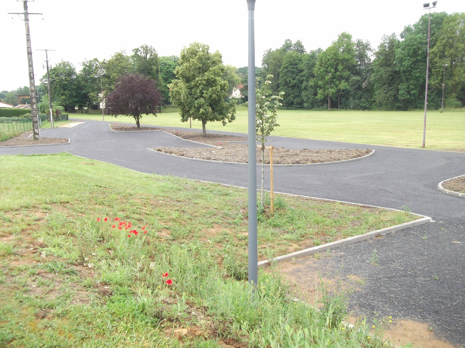 Description de l'image