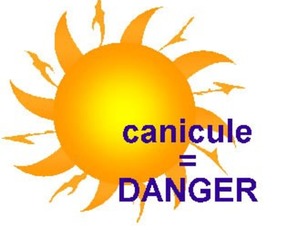 Canicule = danger - adopter les bons réflexes