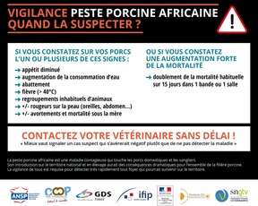 peste porcine africaine-recensement des porcs et des sangliers d'élevage- déclaration obligatoire