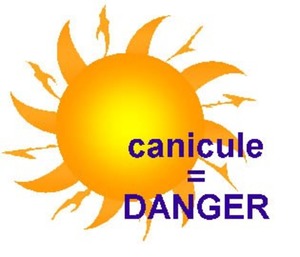 Canicule = danger - adopter les bons réflexes