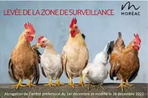 Levée du niveau de risque au regard de l'influenza aviaire 
