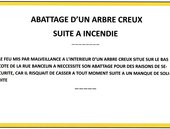 abattage arbre calciné